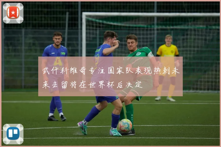 武什科维奇专注国家队表现热刺未来去留将在世界杯后决定